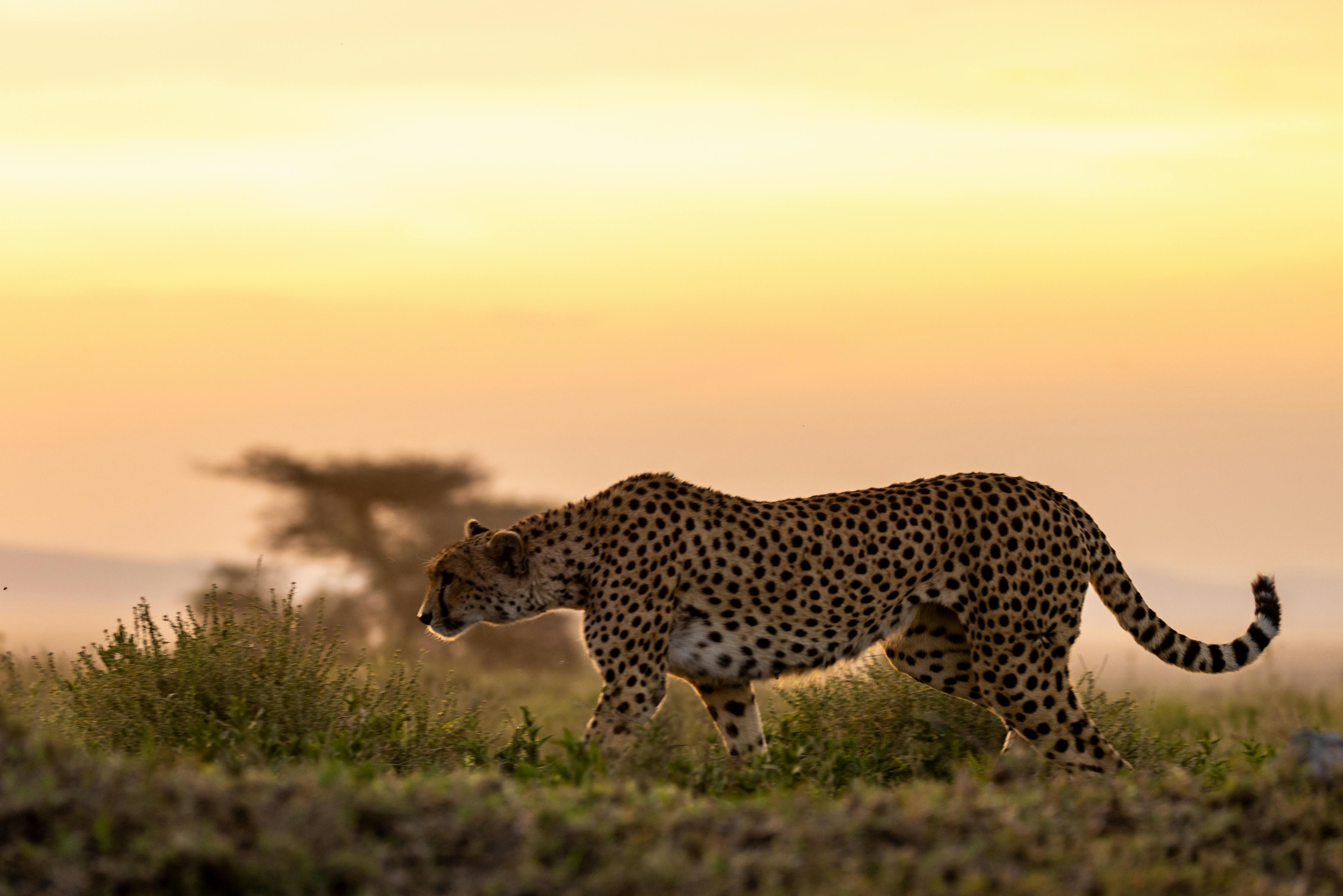Touch Down Assist supporting humanitarian missions in Kenya